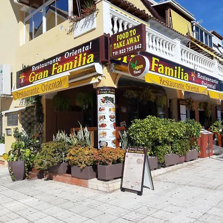 Playa De Las Americas El Camison Holiday home